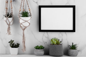 Why Choose Wall Hanging Plant Shelf?