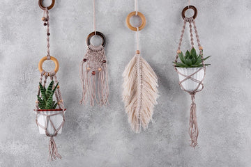 The Origin of the "Bohemian" Concept